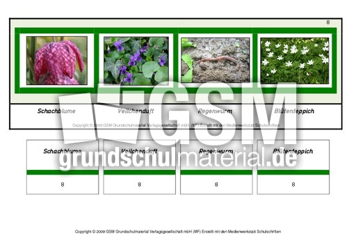 Setzleiste-zusammengesetzte-Frühlingswörter 8.pdf